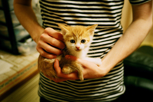 _大赛期间的安全措施:保障运动员与观众安全_,参加比赛安全预案