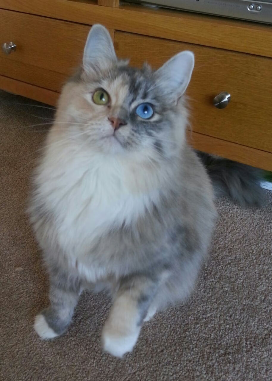 九游娱乐APP-_家庭趣味运动日：亲子互动乐趣多_，家庭趣味运动会图片