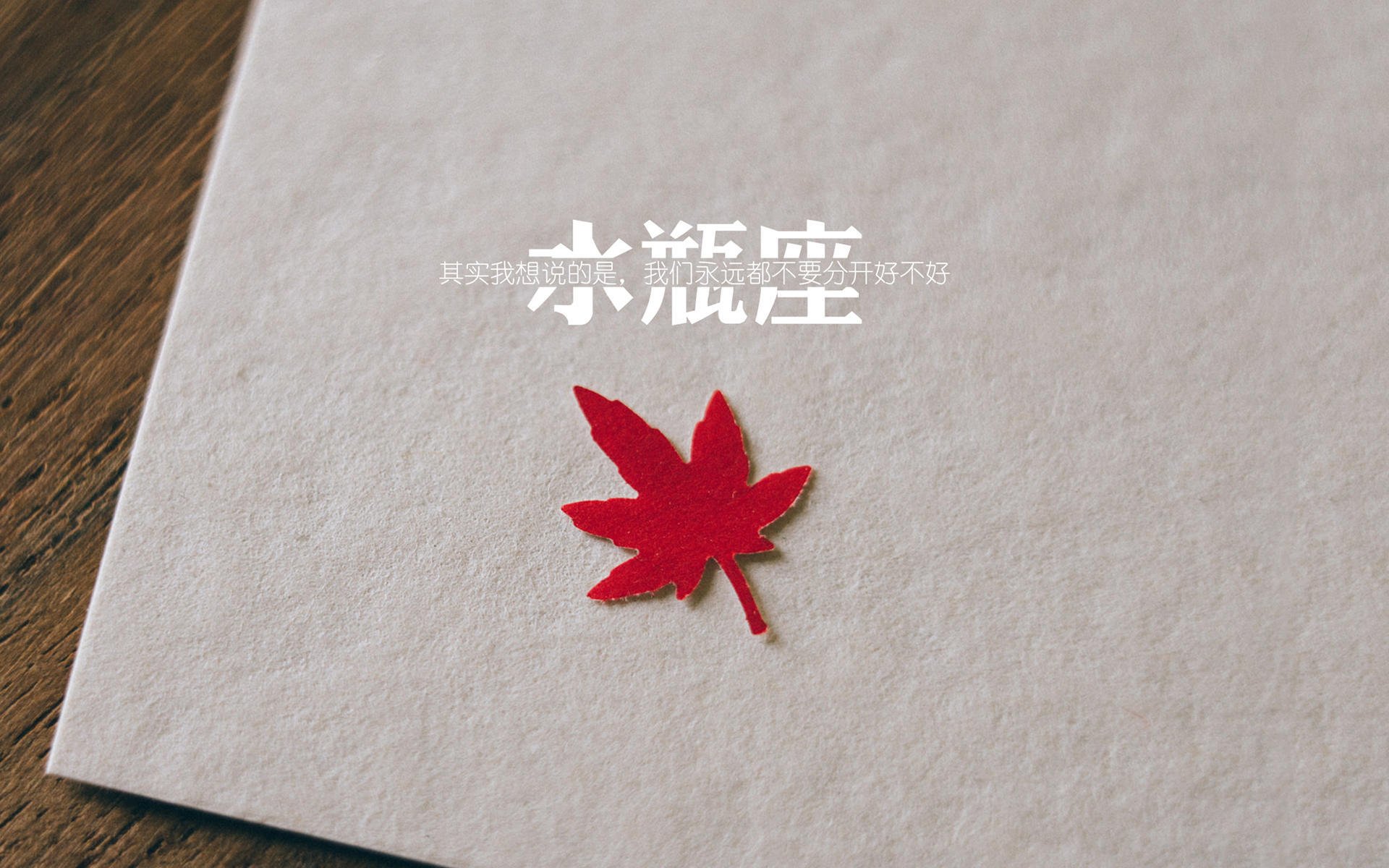 _快船队每日练兵,战术日臻完善_,快船打法