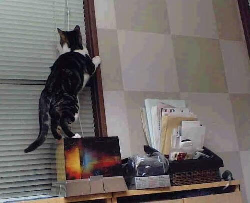 九游网游官网-_极寒极暑运动挑战赛：极端气候中的运动秀_，极寒现象