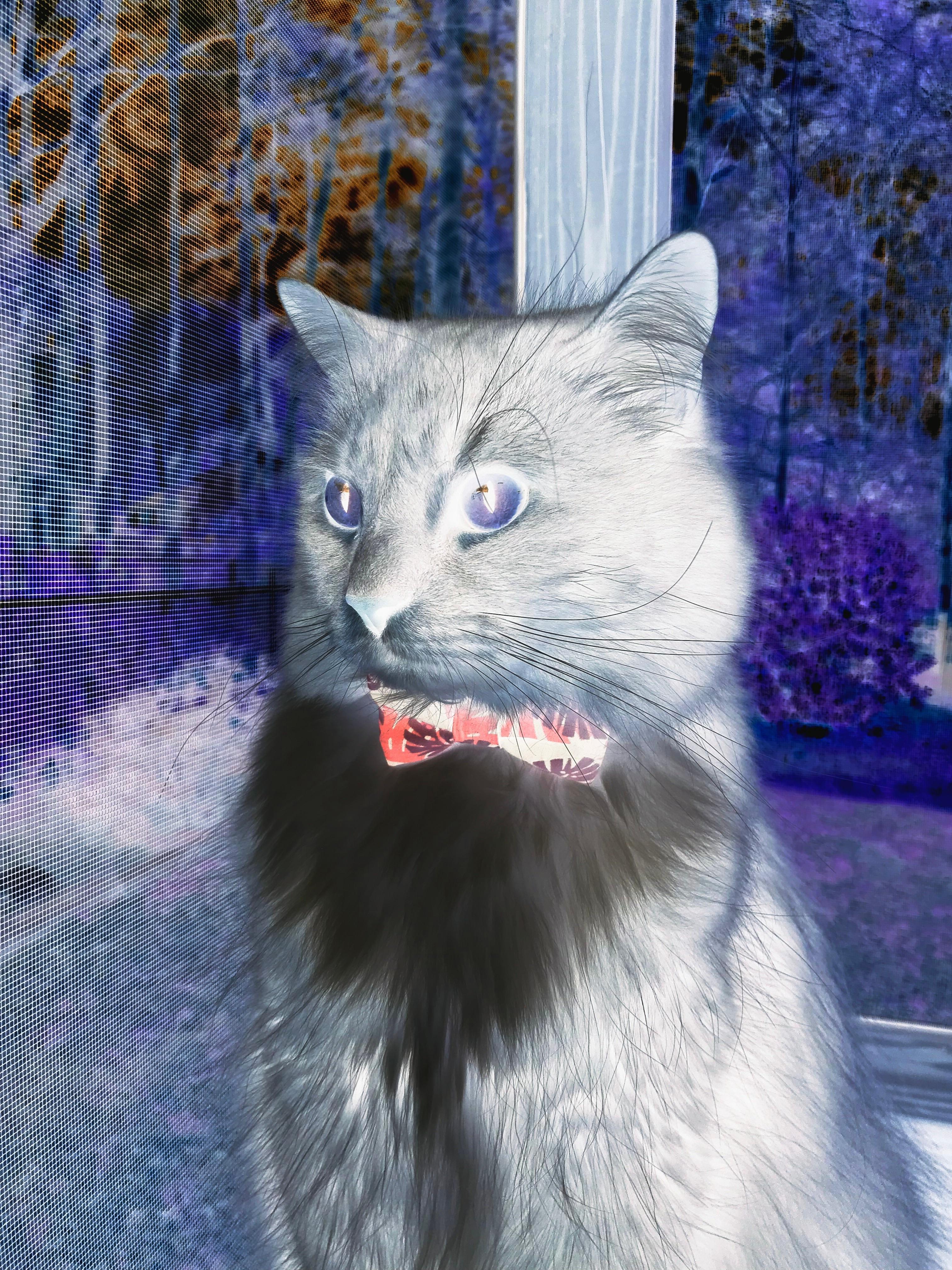 “城际足球赛事逐渐成为热门,足球文化深入民心”,城市足球集团 介绍