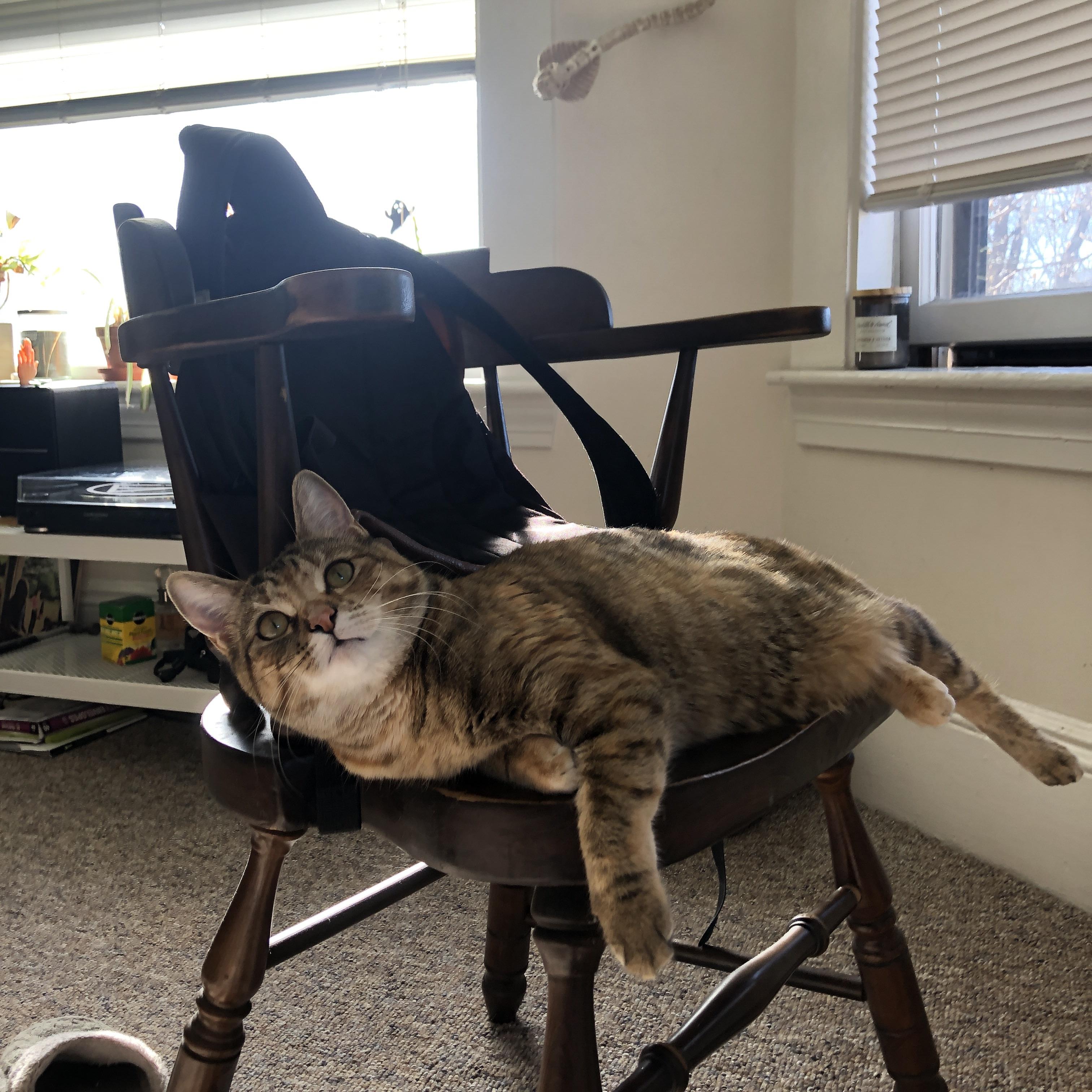 “未来中国足球的重点发展方向初现眉目”,中国足球的未来在哪里