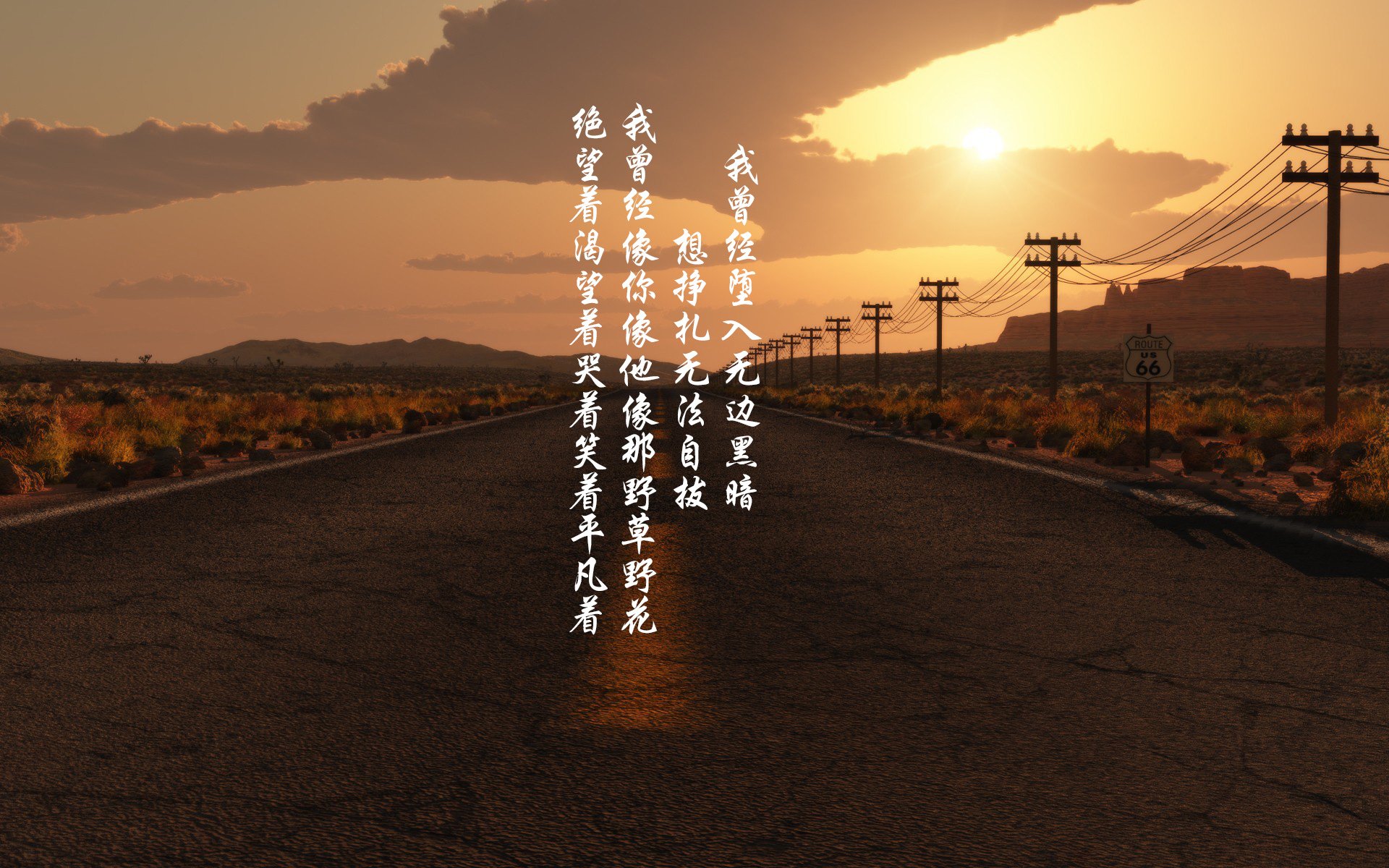 《新款电竞装备登场:为职业选手量身定制》,电竞套件