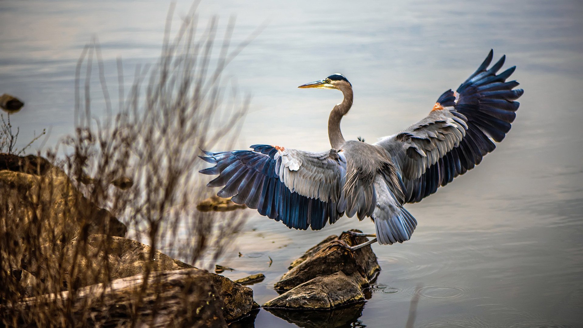 JIU YOU GAME-移动体育大数据助力中国篮球战术分析与提升，中国篮球数据网