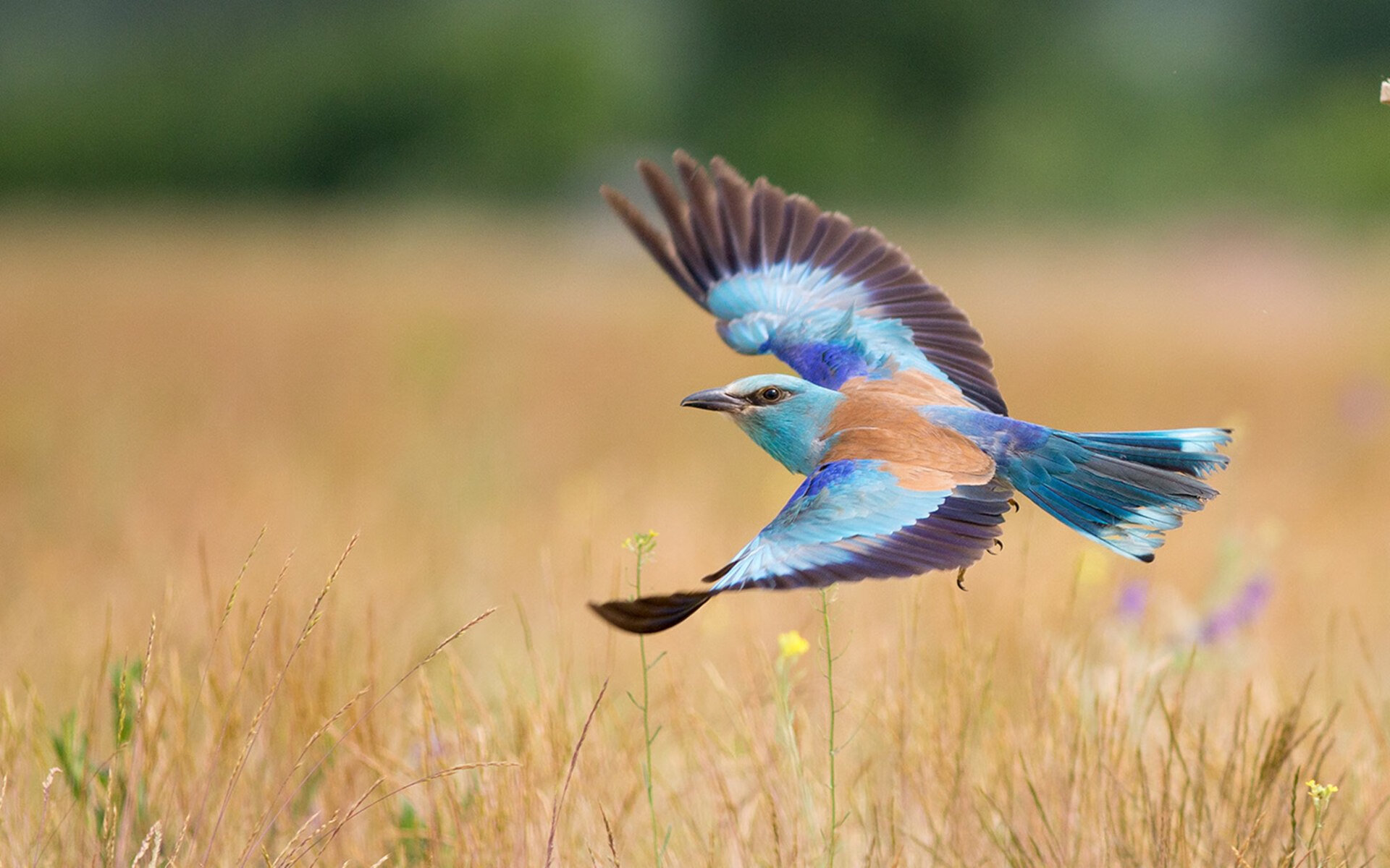 篮球训练营引进科学体能测试设备,篮球体能考试