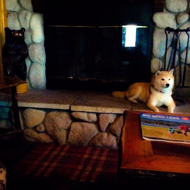 紧张刺激!王强终场前关键三分让北京提前锁定胜局,北京王强个人简历资料