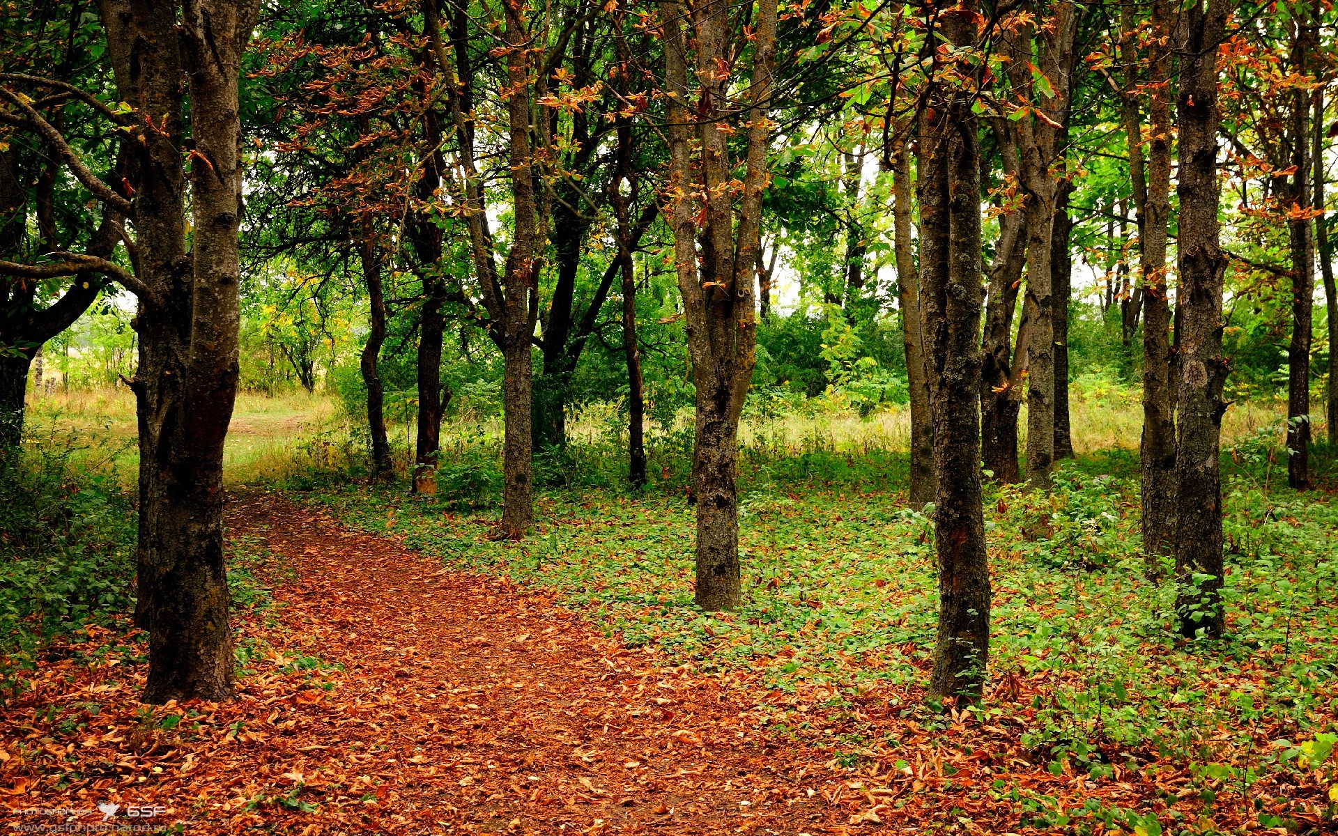 九游app官网下载-青少年“体育+科普”创新课堂在西安全面落实，推广科技体育新理念