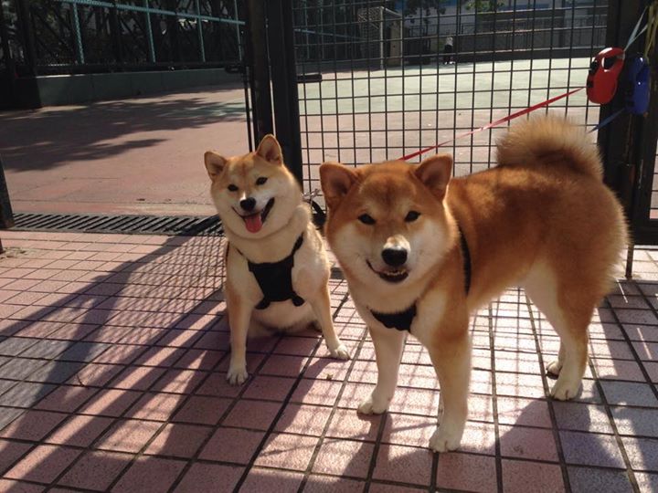 青少年“体育+科普”创新课堂在西安全面落实，推广科技体育新理念