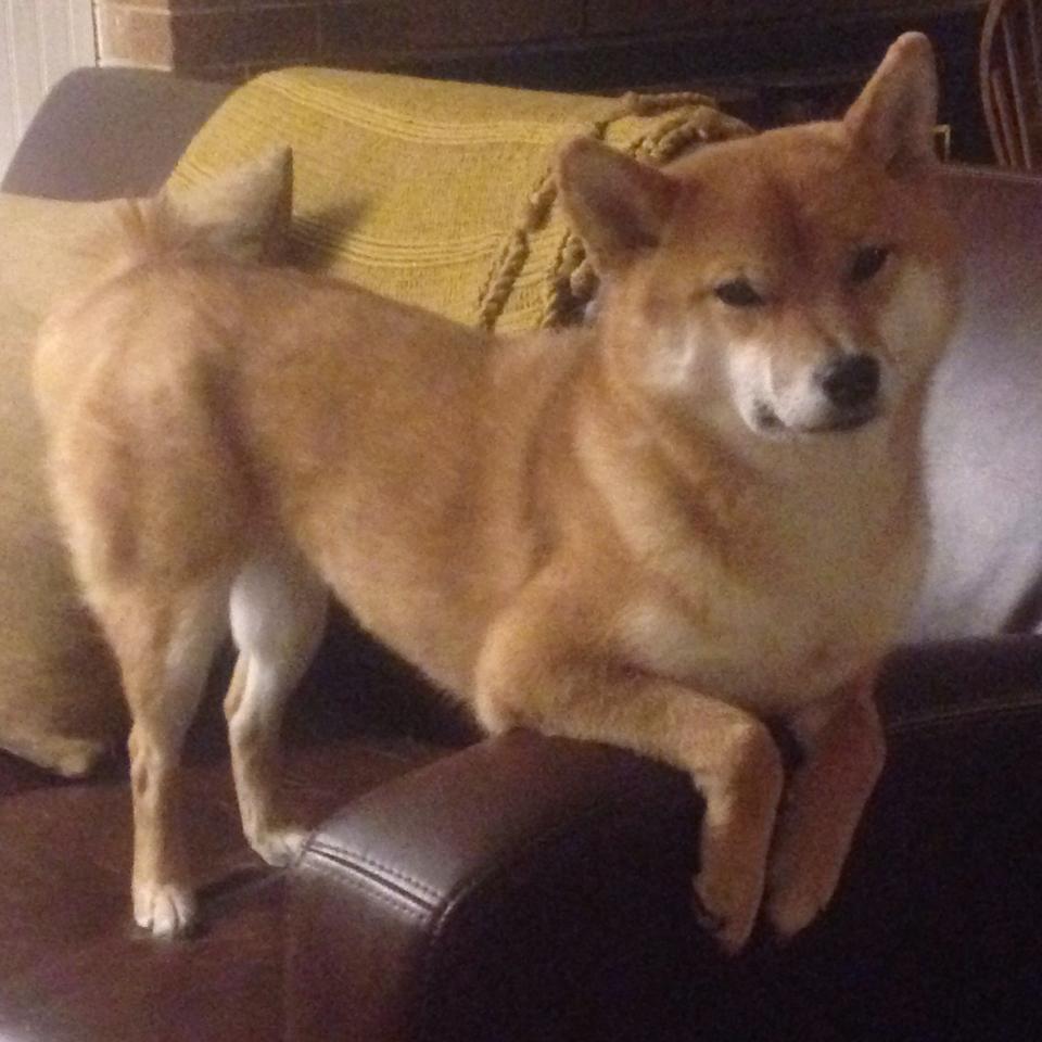 青少年篮球“青春骄子”公益巡讲走进贵州农村地区,贵州乡村篮球赛