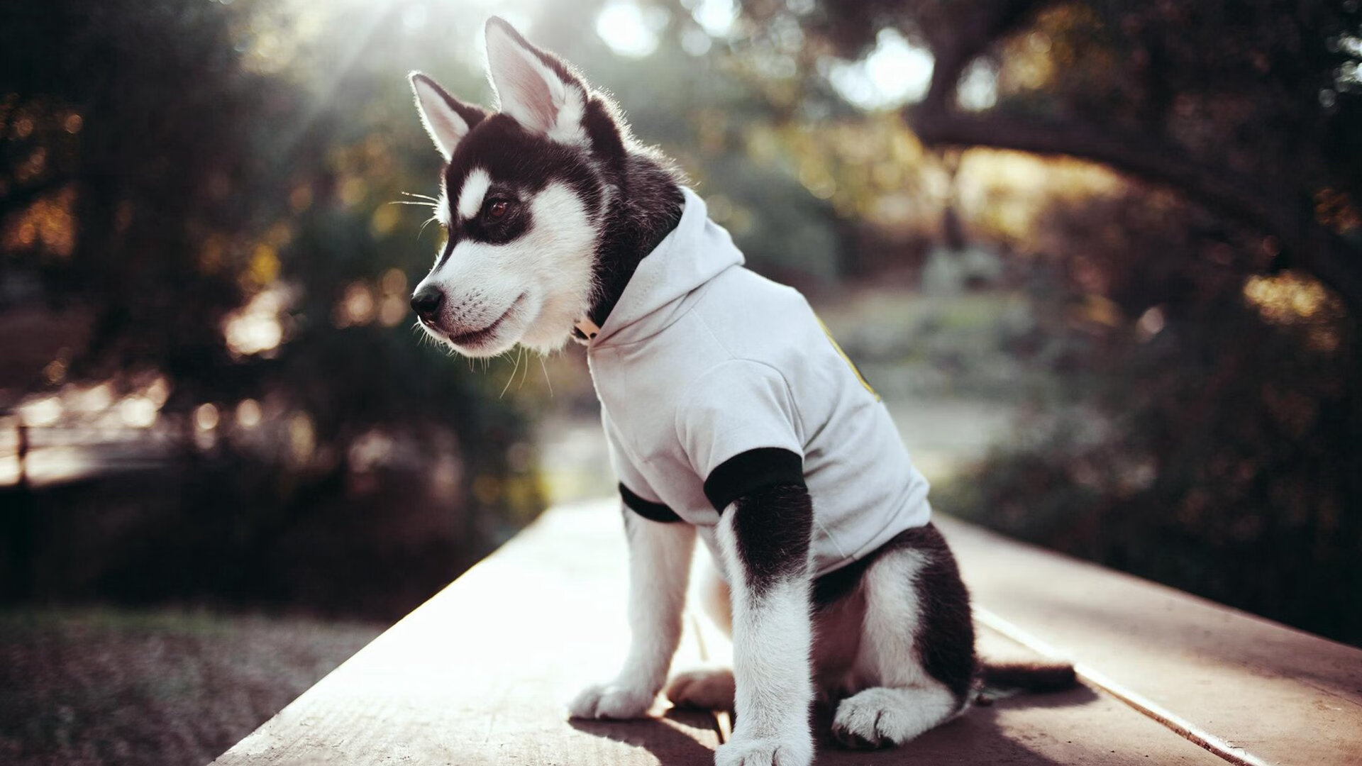 北美CS_GO战队挺进Major淘汰赛,csgo 北美战队