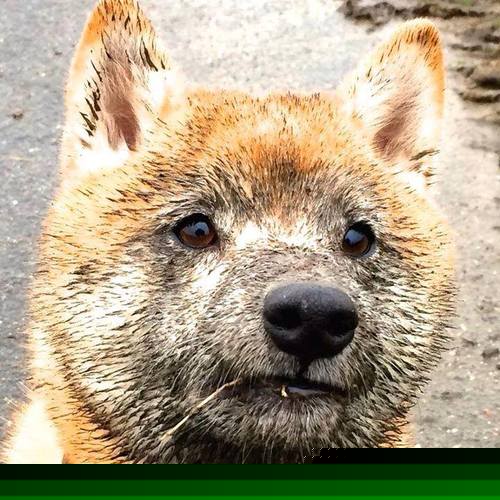 卡塔尔多哈体育俱乐部新赛季展望，2021卡塔尔多哈网球赛程