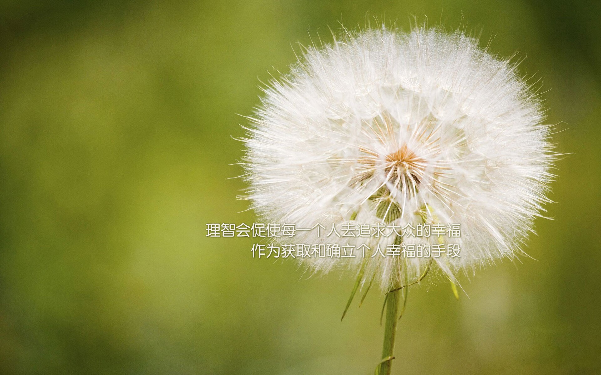 九游娱乐(jiuyou)官方网站-塞内加尔队在巴黎奥运会比赛中多次通过快速反击得分，塞内加尔足球运动员