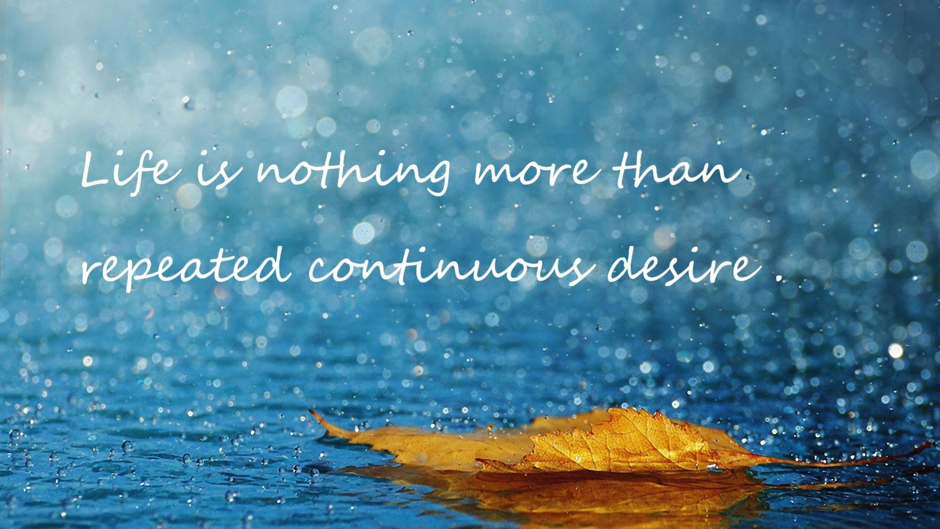 大连人主场取胜,提升积分榜排名,脱离降级区,大连人新主场