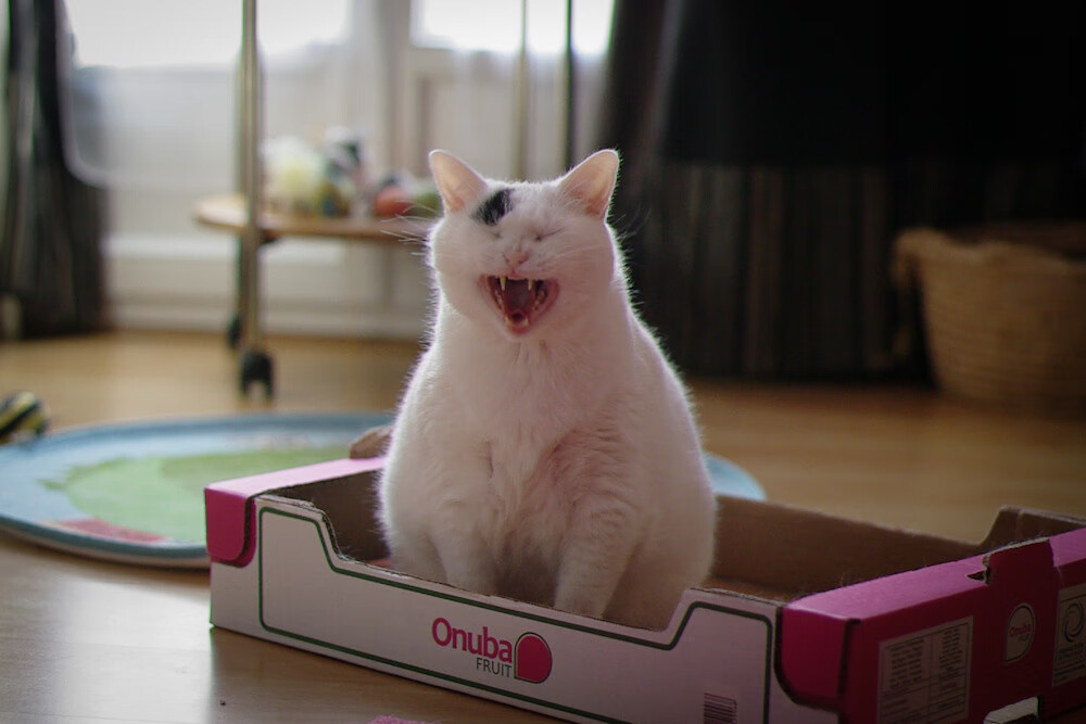 九游登录中心-梦幻对决！欧洲足球冠军联赛霸者之战写就巅峰传奇，欧洲足球俱乐部冠军联赛