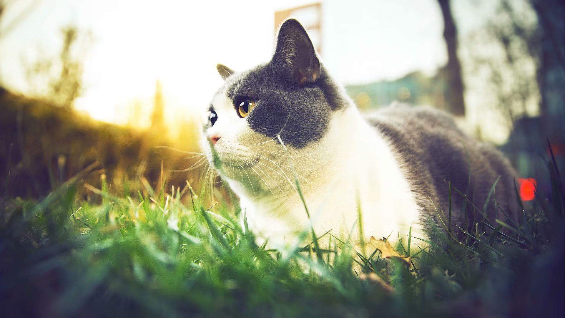 赫塔菲主场完胜奥萨苏纳,全取三分,赫塔菲球员