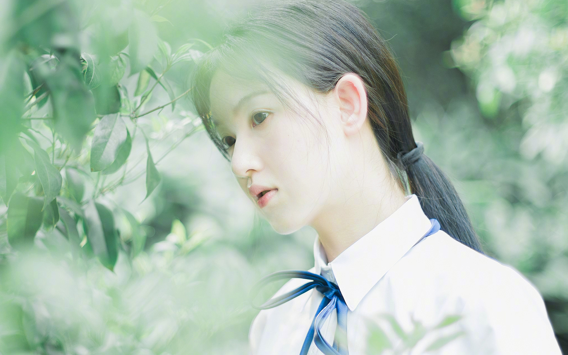 世界雪车锦标赛中国选手跻身前八,世界雪车锦标赛用车多少钱