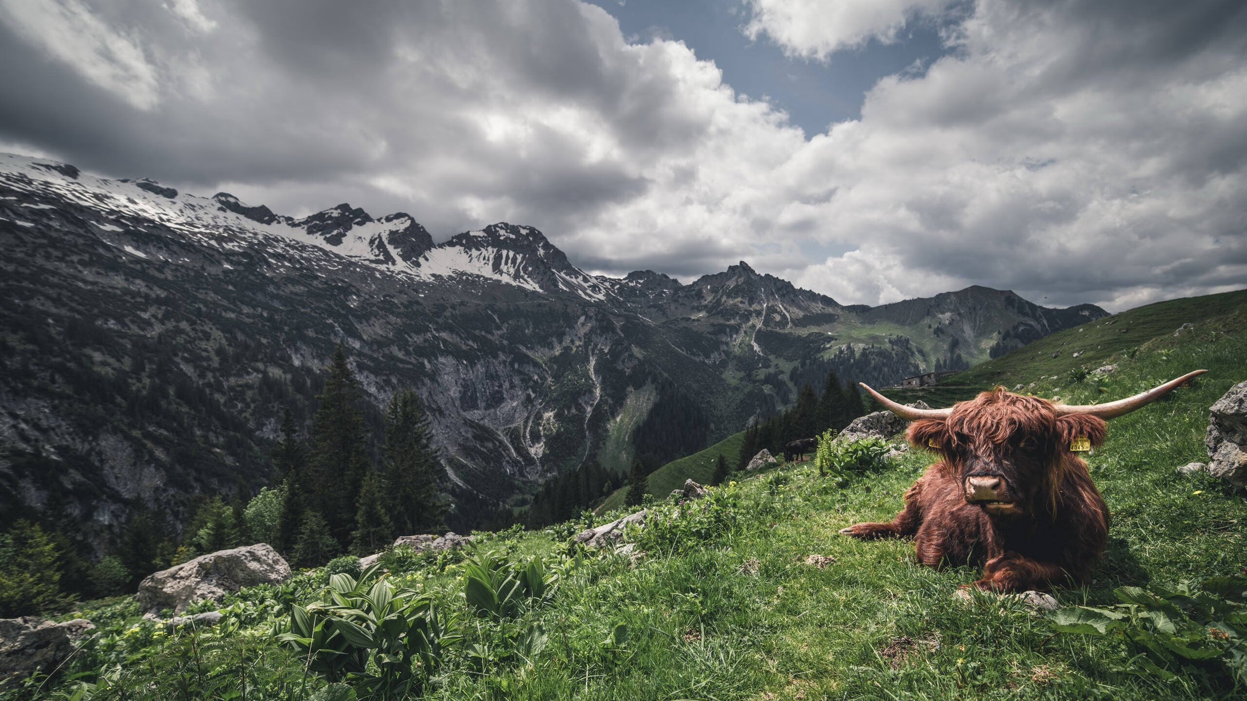 中国篮球职业俱乐部财务风险管理实践，篮球俱乐部经营与管理