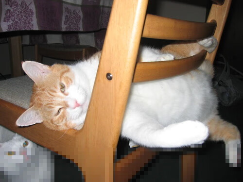 九游网游官网-中超球队比赛中得分方式演变可视化报告，中超联赛得分规则