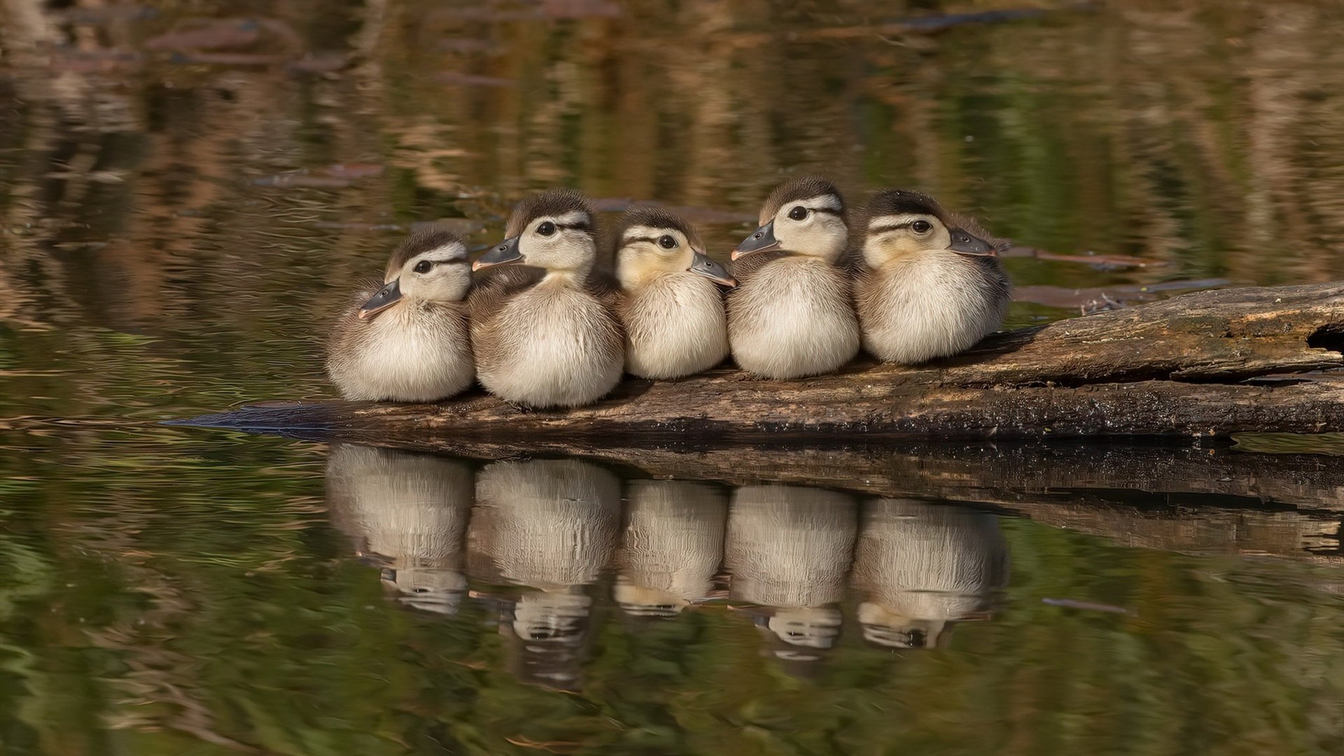 国足比赛上下半场表现差异统计,国足上半场数据