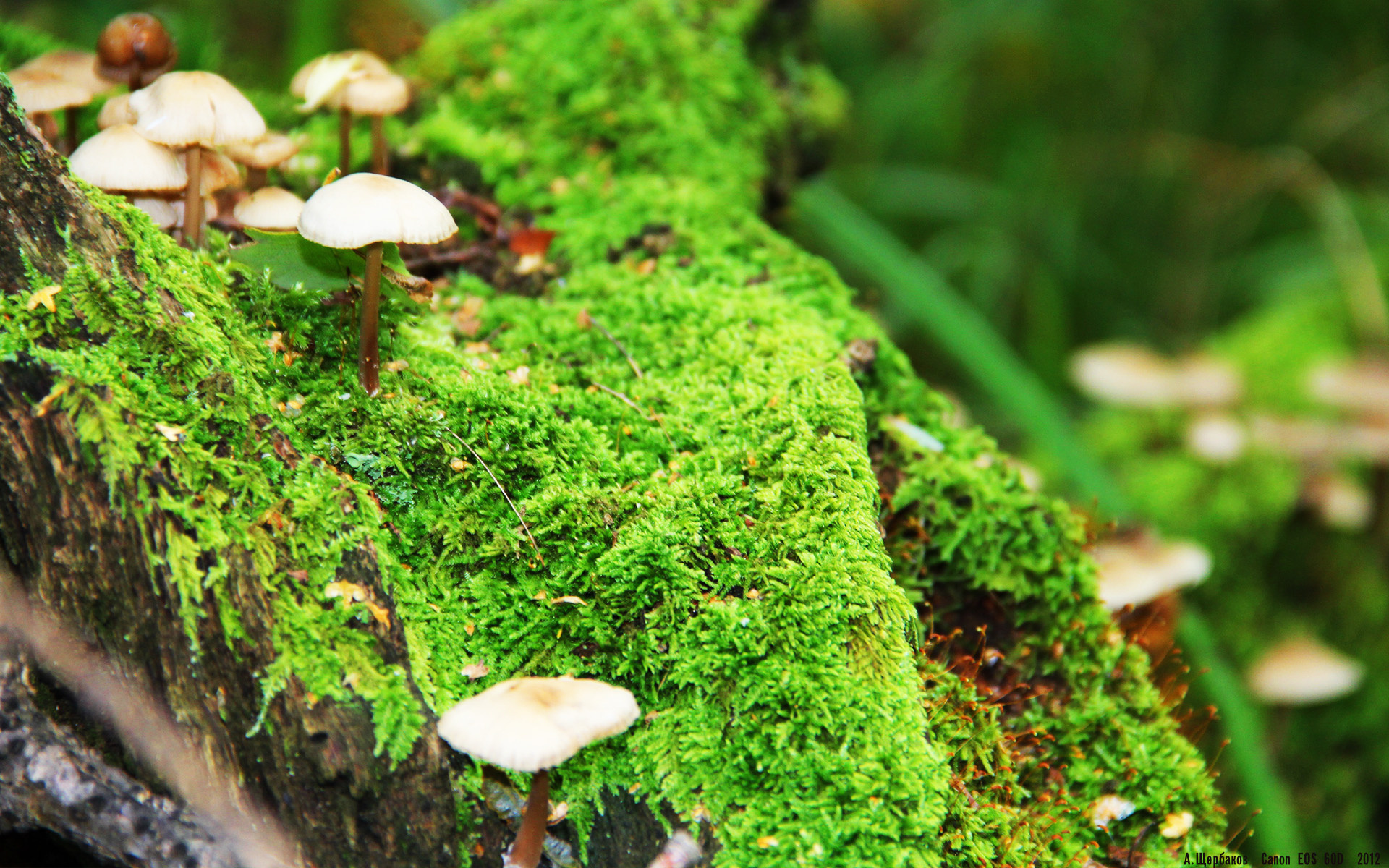 德甲青训融合认知行为训练优化球员赛中思维速度,德甲青训体系