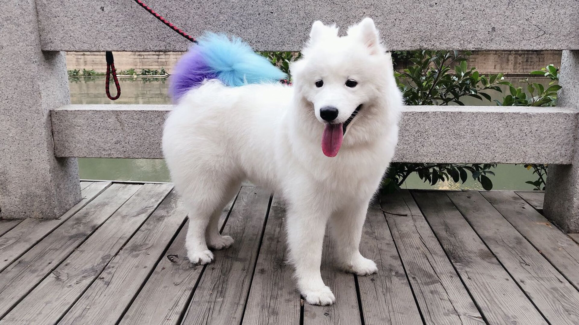 高校运动员心理健康维护机制,运动员心理健康的重要性