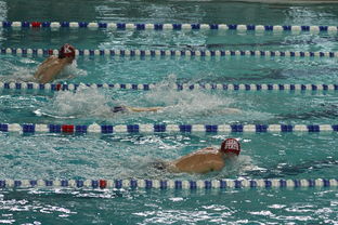 九游游戏中心-“世界游泳锦标赛：2025新加坡赛场泳池掀起速度与优雅的碰撞”