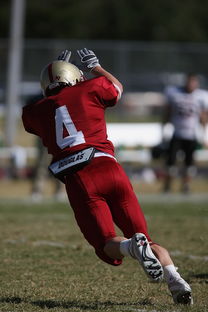 九游正版入口-五大联赛争四阶段关键球员贡献值差异对比，五大联赛引援