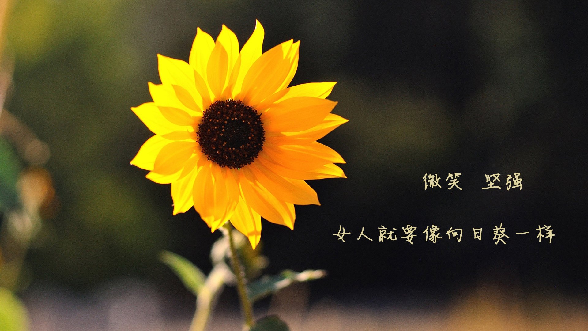 球星在不同节奏下的表现是否一致,各球星的区域