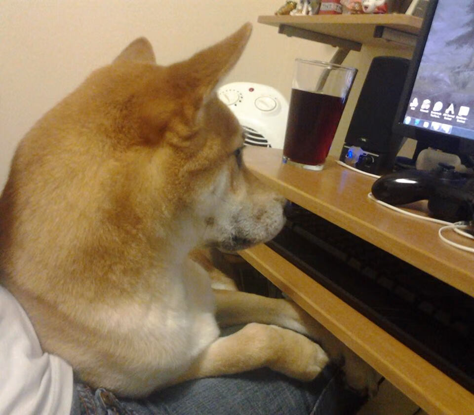 九游app下载中心-联盟中最擅长在弱侧得分的球员分析，nba弱侧手