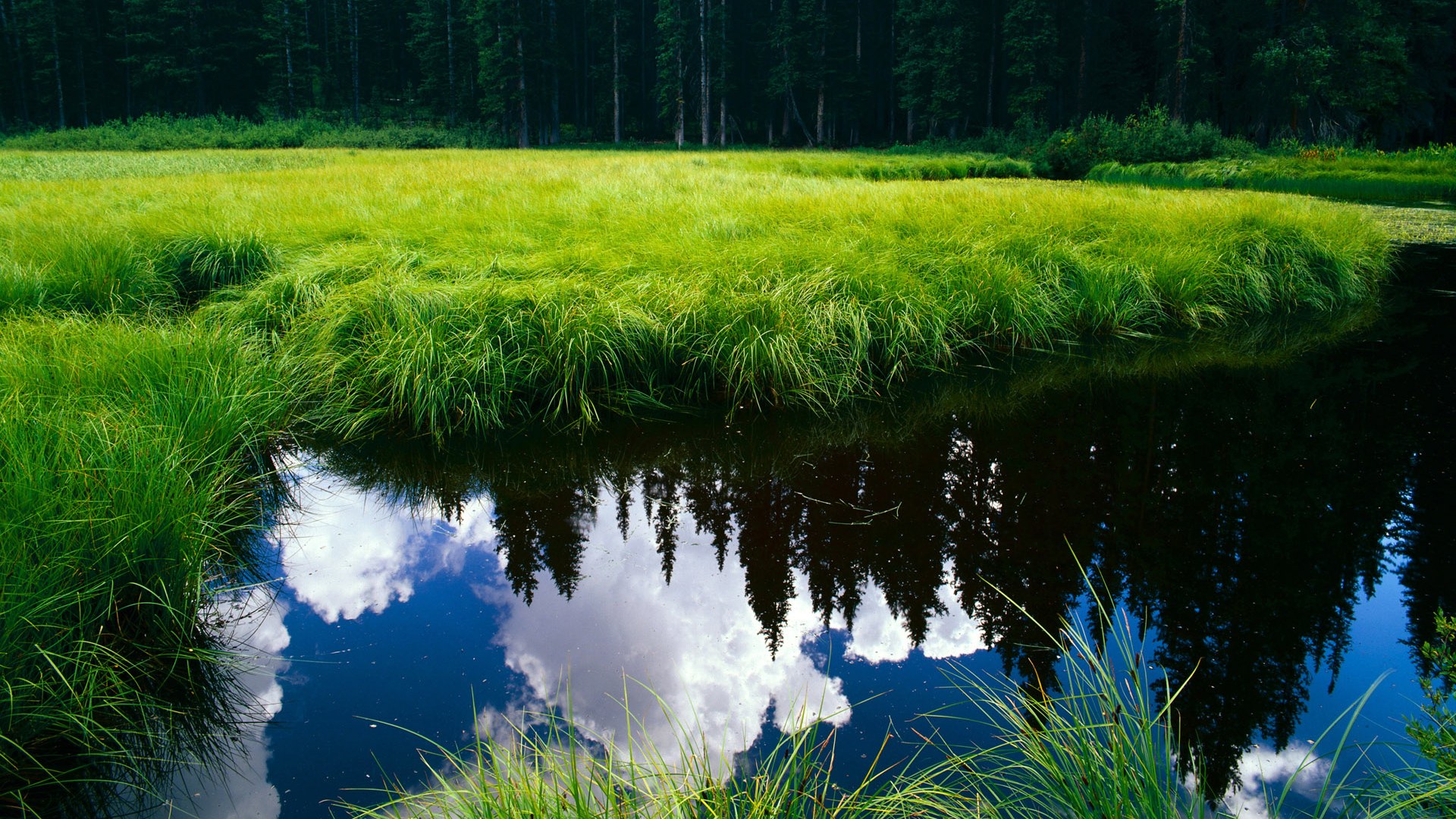 联盟中最擅长在弱侧得分的球员分析,nba弱侧手