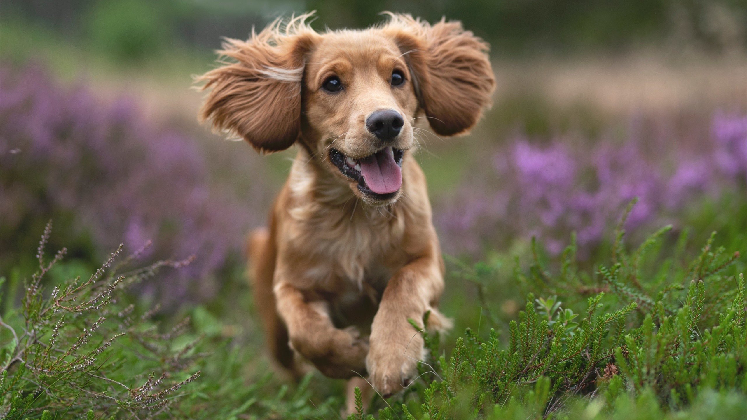 轻艇马拉松配套嘉年华,市民互动不停歇,赛艇马拉松