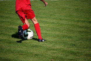 九游娱乐-青训球员选拔机制存在结构性偏见，青训选拔喜欢那种球员