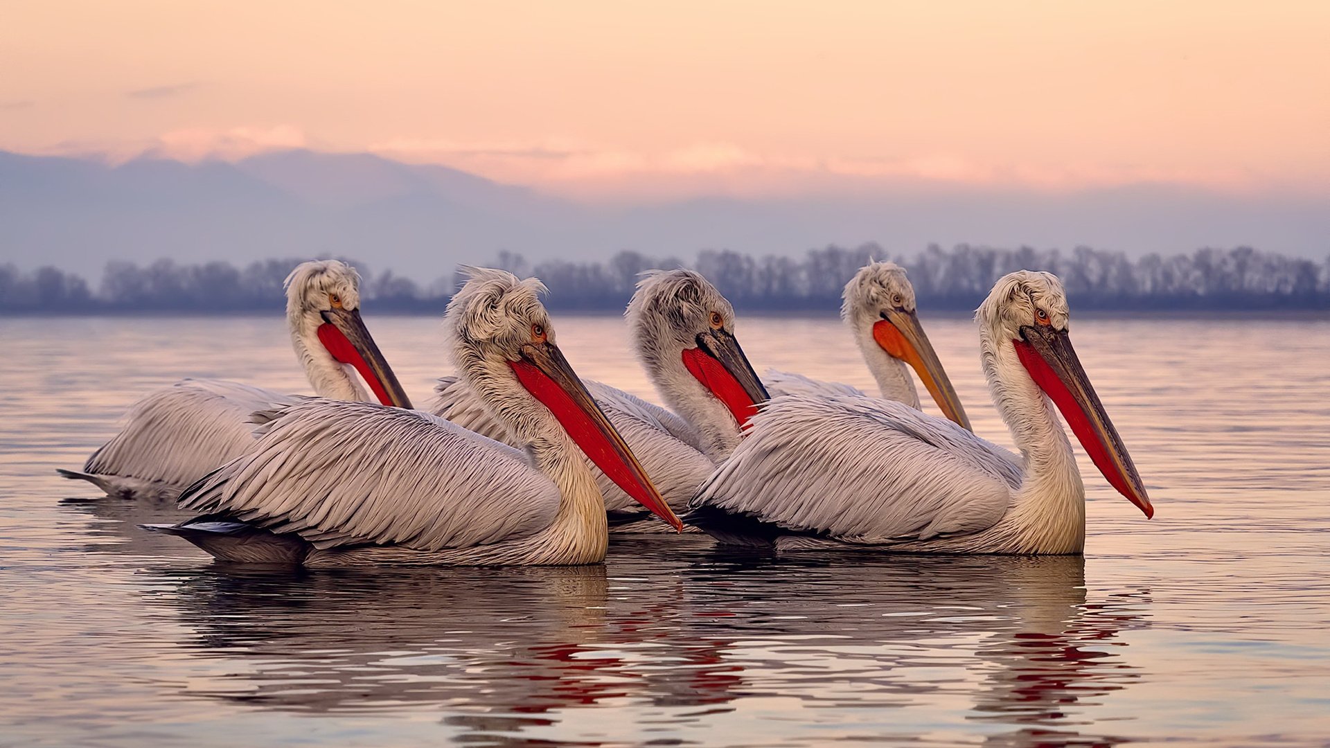 九游网页版官网-世界杯足球赛激烈角逐，世界杯足球比赛视频
