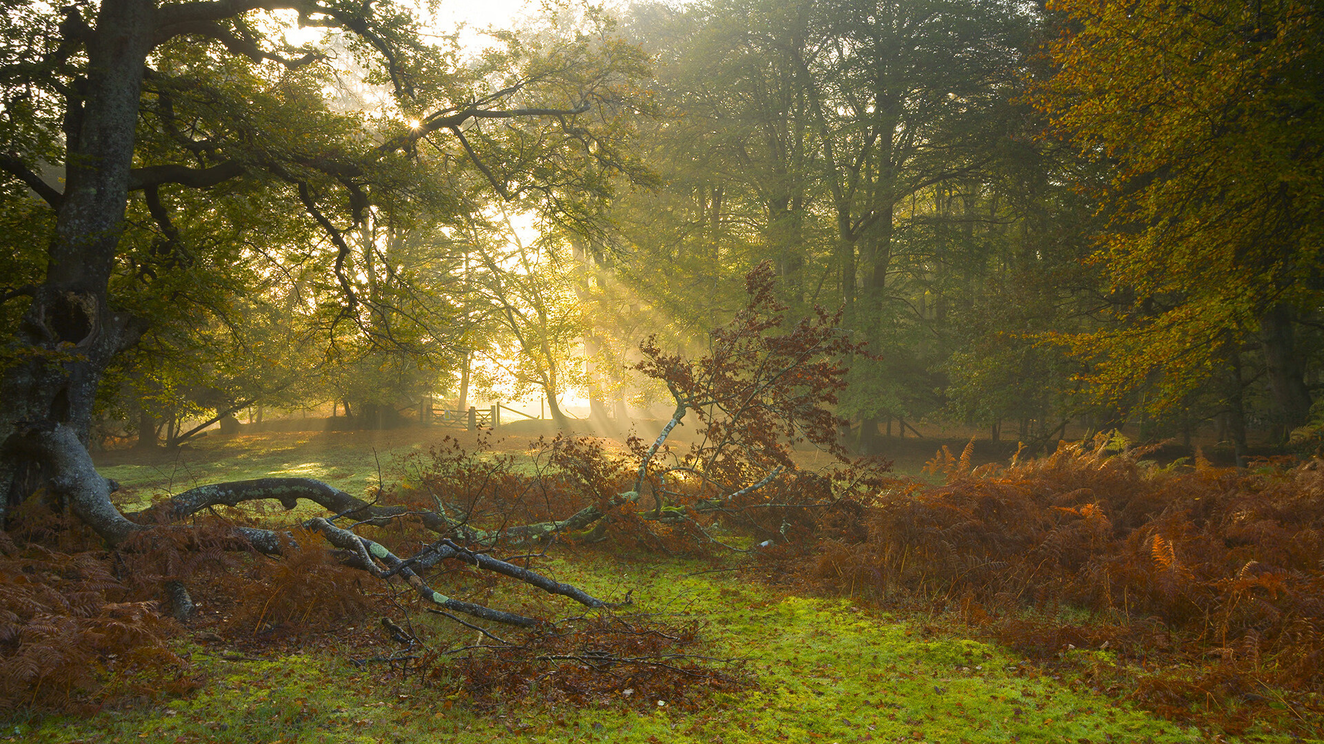 九游-国际曲棍球锦标赛热力开赛，2020年曲棍球锦标赛