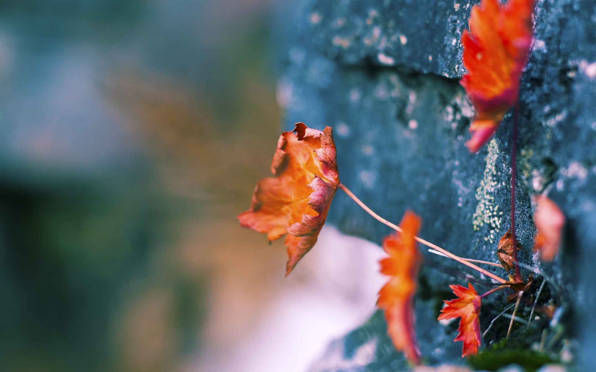 九游下载官网-欧洲杯变阵频繁：战术多变引领新趋势！，欧洲杯变盘分析