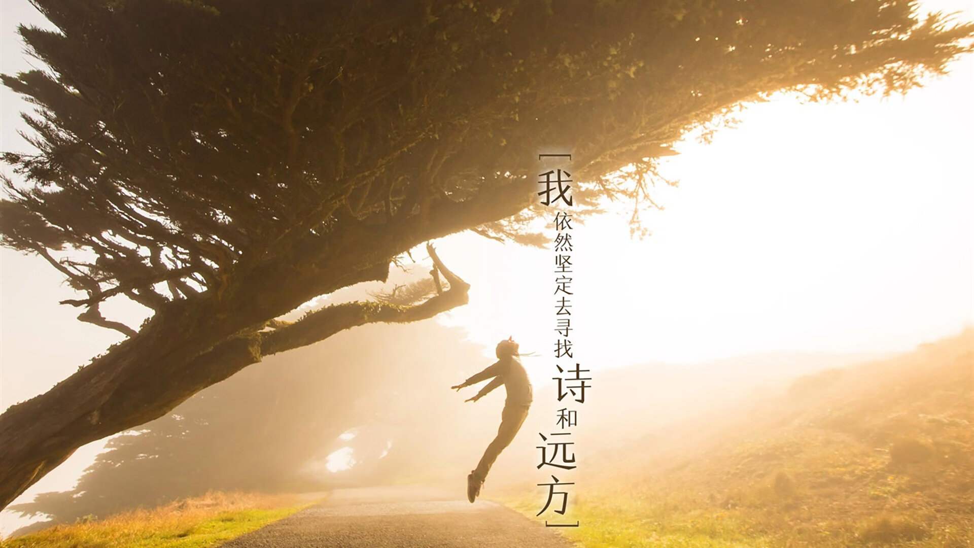 JIUYOU.COM-比利时男篮在欧洲预赛中奋勇冲锋，冲击奥运荣誉，比利时男篮什么水平