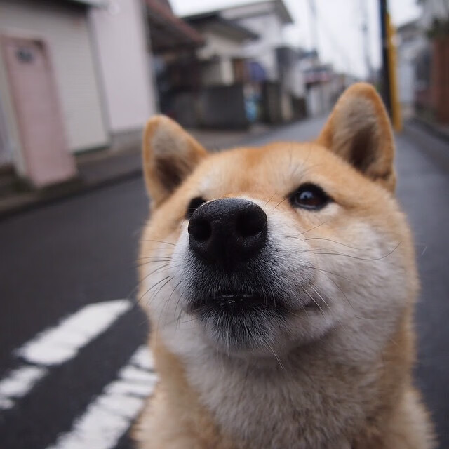 法国男队整体体能储备充足,法国男子国家队